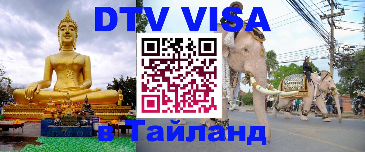 Оформление DTV визы под ключ: стоимость и тарифы, только загранпаспорт - Тирасполь  04.10.2025 